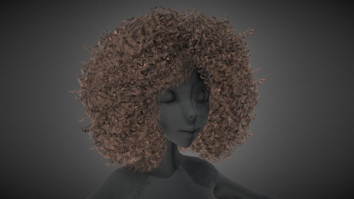 Female Hair Cards Style 9 - Wild Loose 3D Model