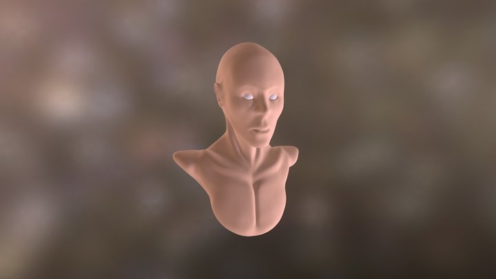 Face 6 3D Model