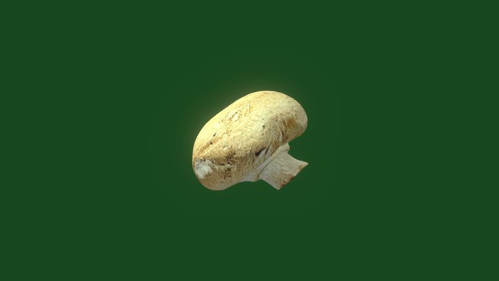 Baby Bella Mushroom