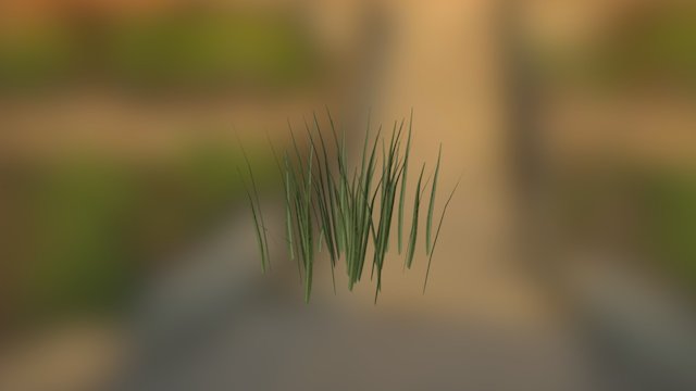 Single Grass 3D Model