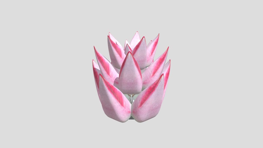 Pink Succulent On Marble Deer Vase