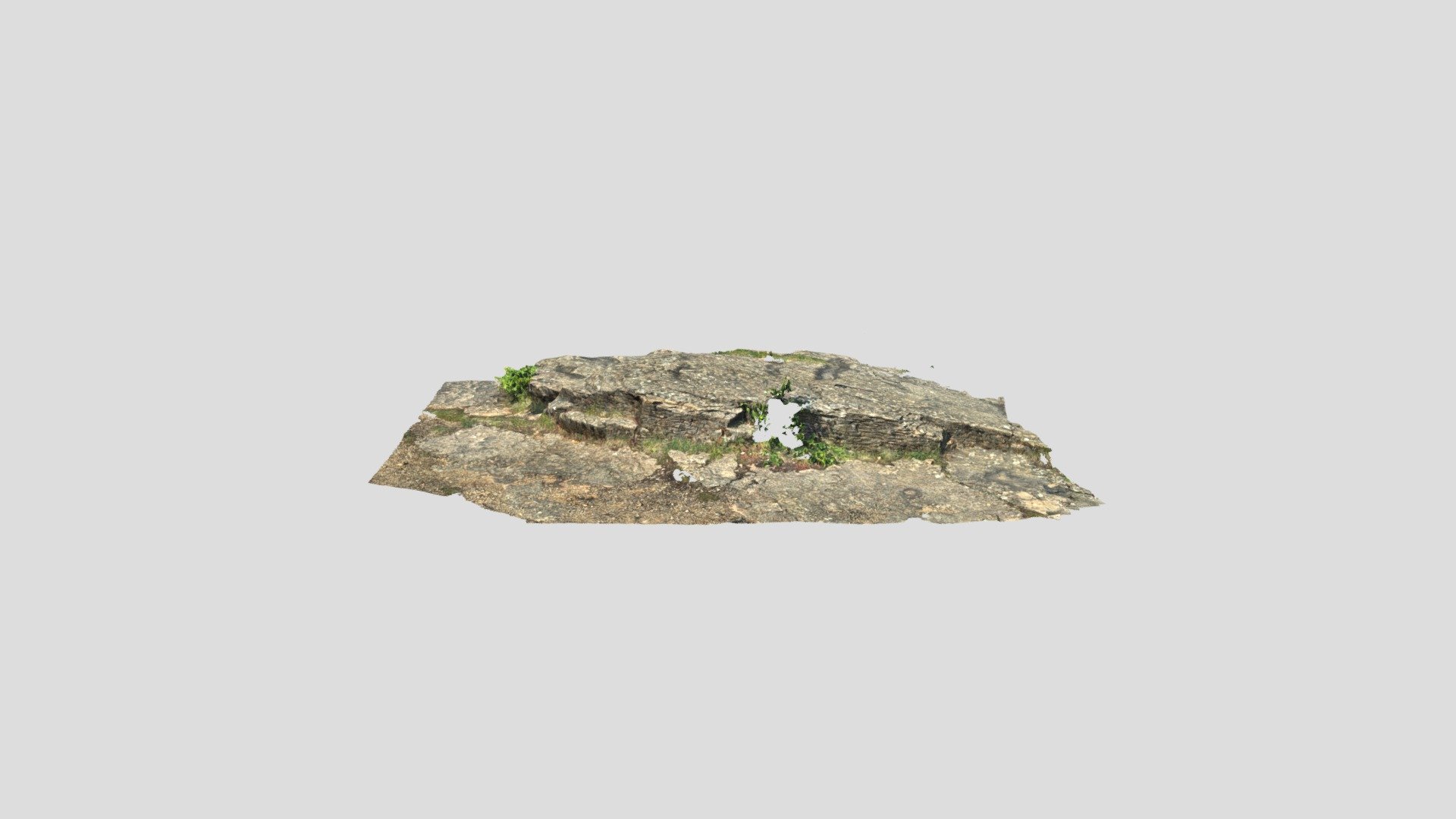 2D-Dune crinoidal limestone ( Jura, France) - 3D model by Buoncristiani ...