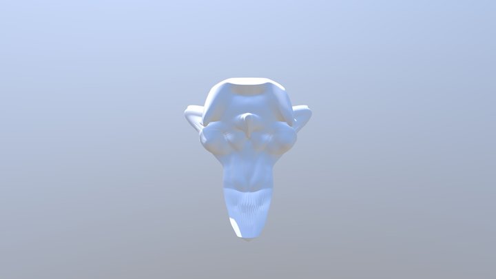 Your Mesh-4 3D Model