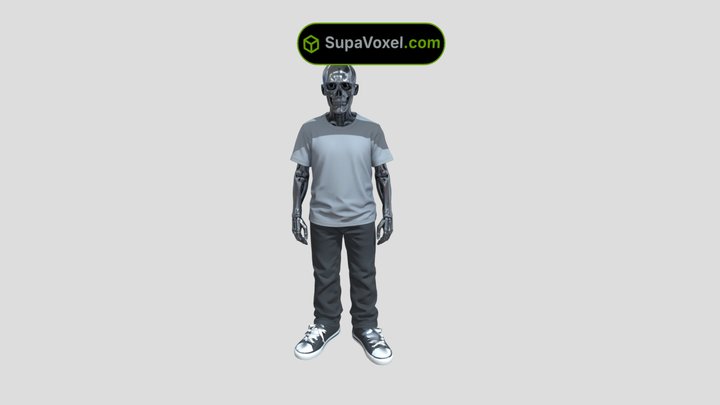 Robot Skeleton In Hi3D vs Meshy AI vs SupaVoxel