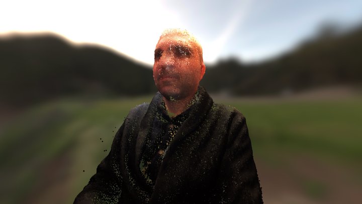Face Scan trial 3D Model