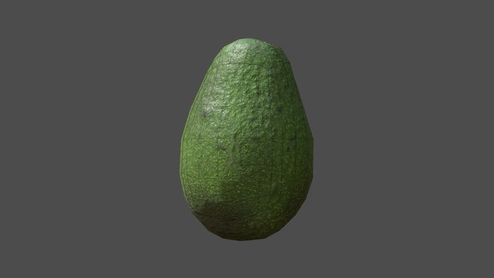 avocado LP 3D Model