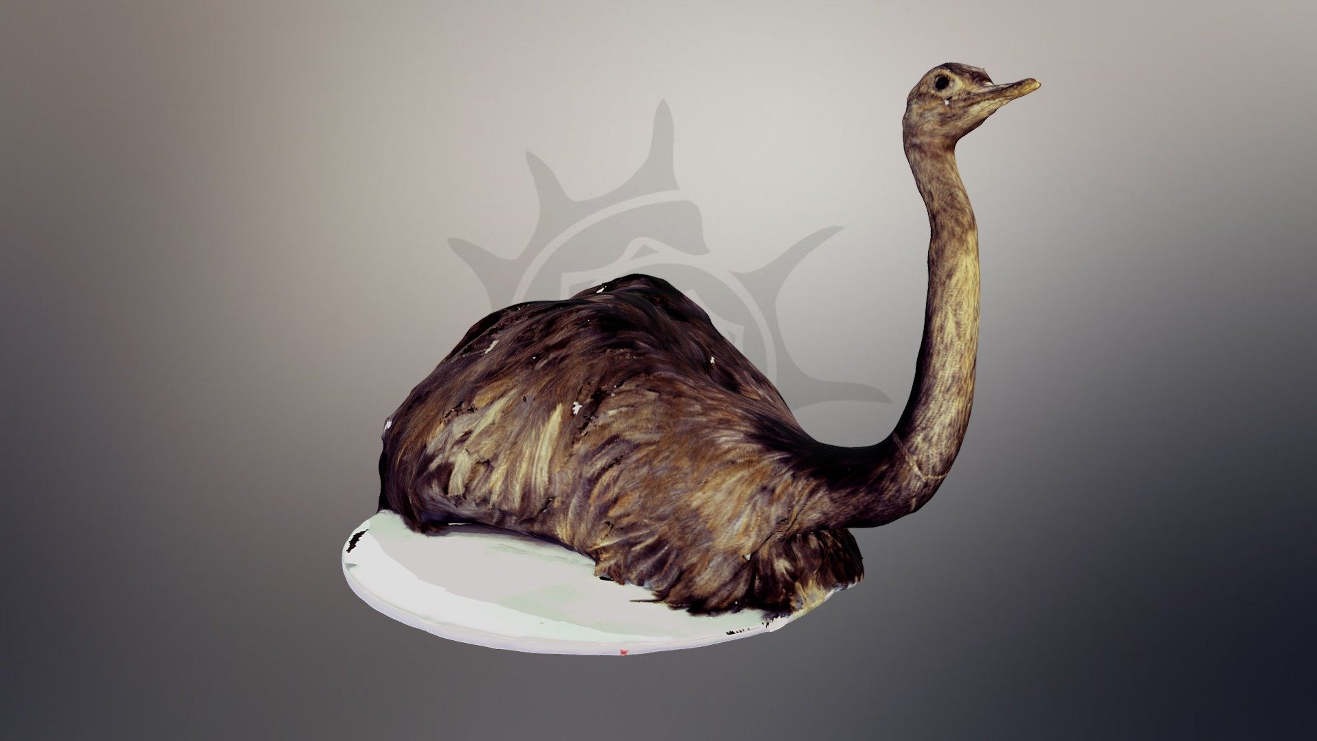 Нанду | Rhea - Download Free 3D model by darwinmuseum.ru [52be4c0 ...