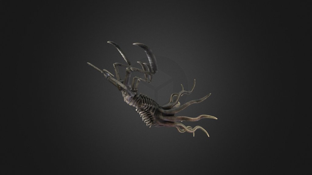 Water creature