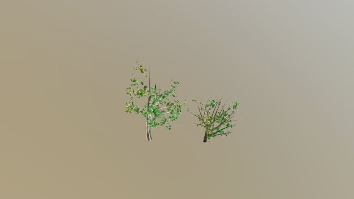 Trees 3D Model