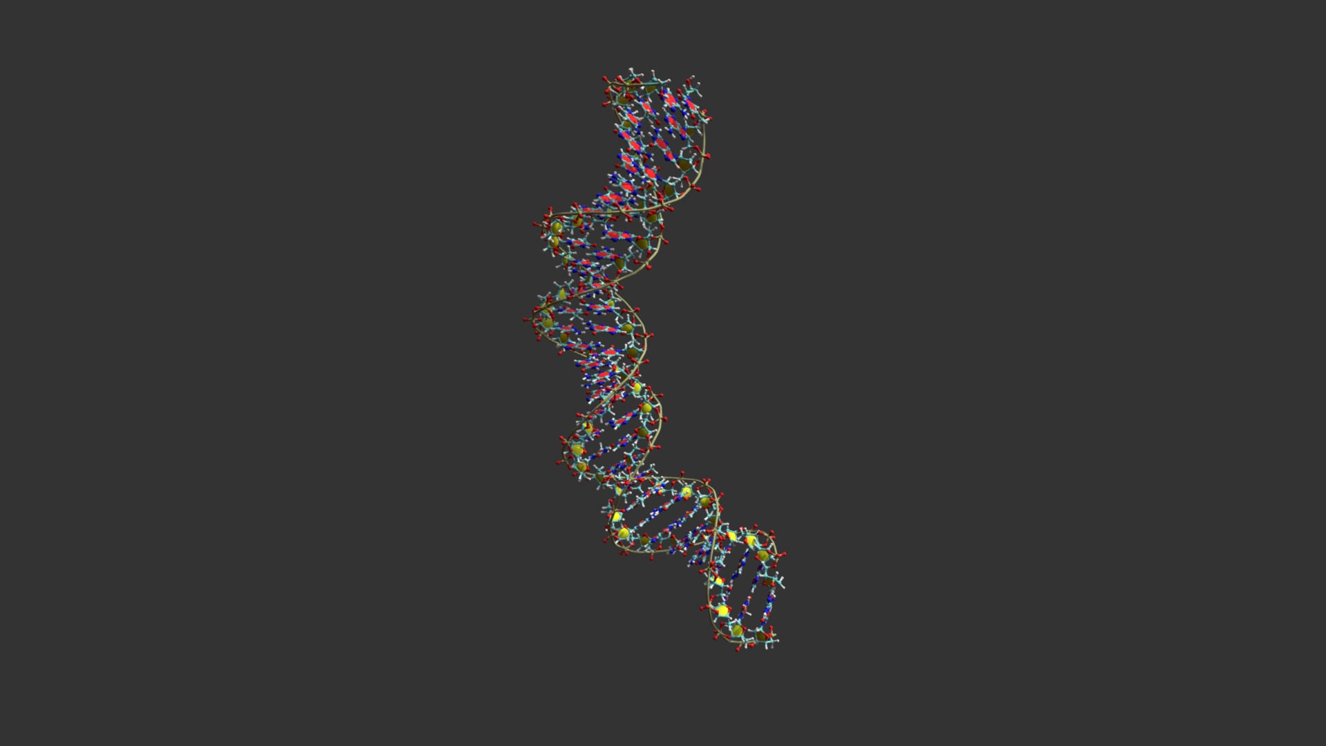 3D model DNA - This is a 3D model of the DNA. The 3D model is about map.