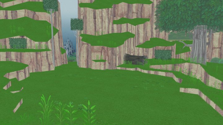 Forest Clearing
