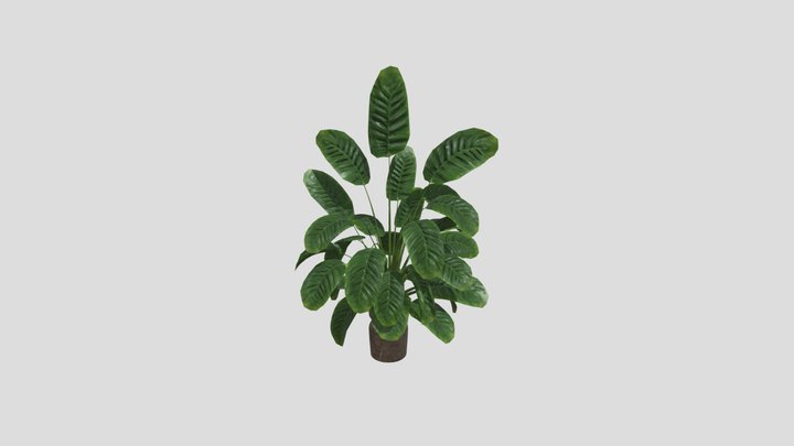 Sj Monstera 07 – Modèle 3D gratuit STL