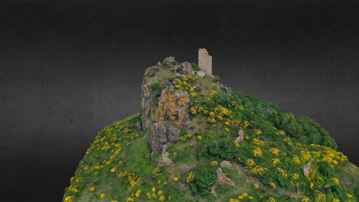 Château de Malavieille (34) 2020 3D Model
