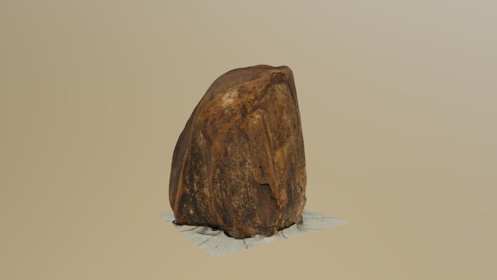 Afterlee Fossil Wood 02 3D Model