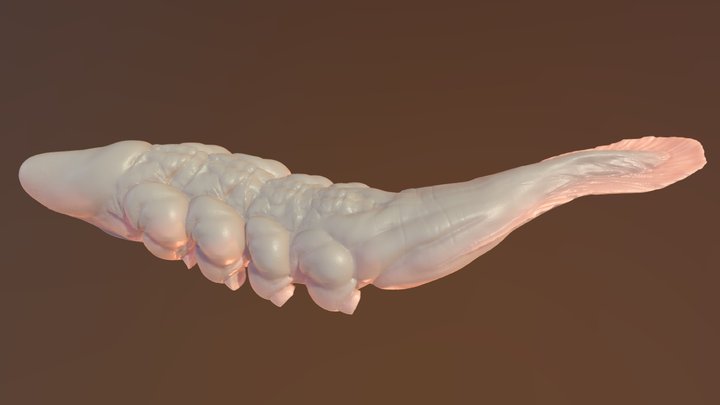 Titan 3D Model