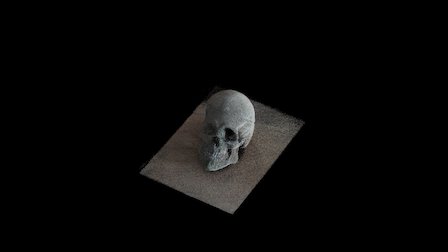 Skull 3D Model