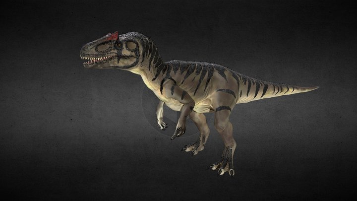 Allosaurus Fragilis 3D Model