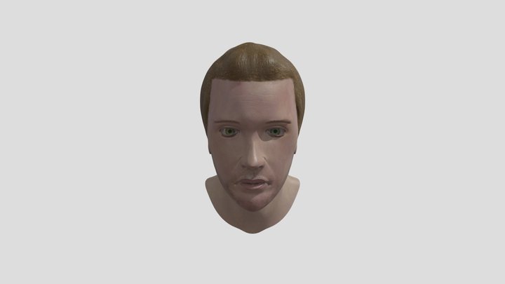 Male Realistic Head Sculpt 3D Model