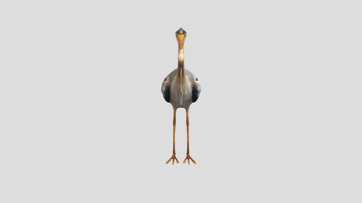 Great blue heron Чапля північна 3D Model