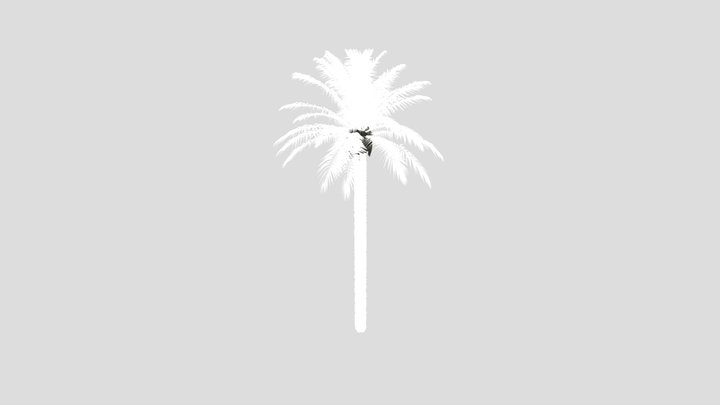 Dactylifera Palm Tree – Kostenloses 3D-Modell STL