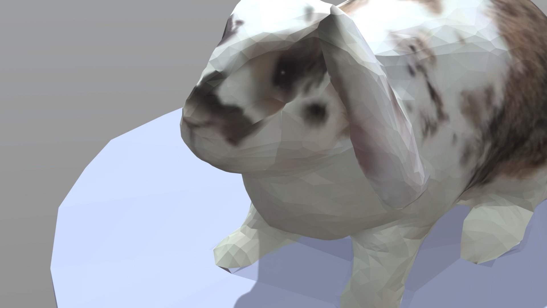 Bunny - Photoscan