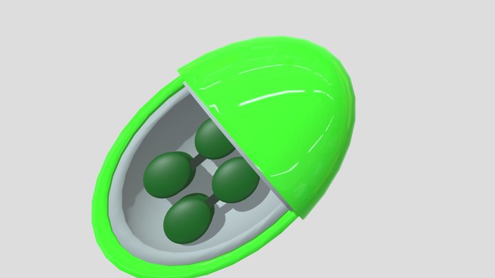 Chloroplast Model 3D Model