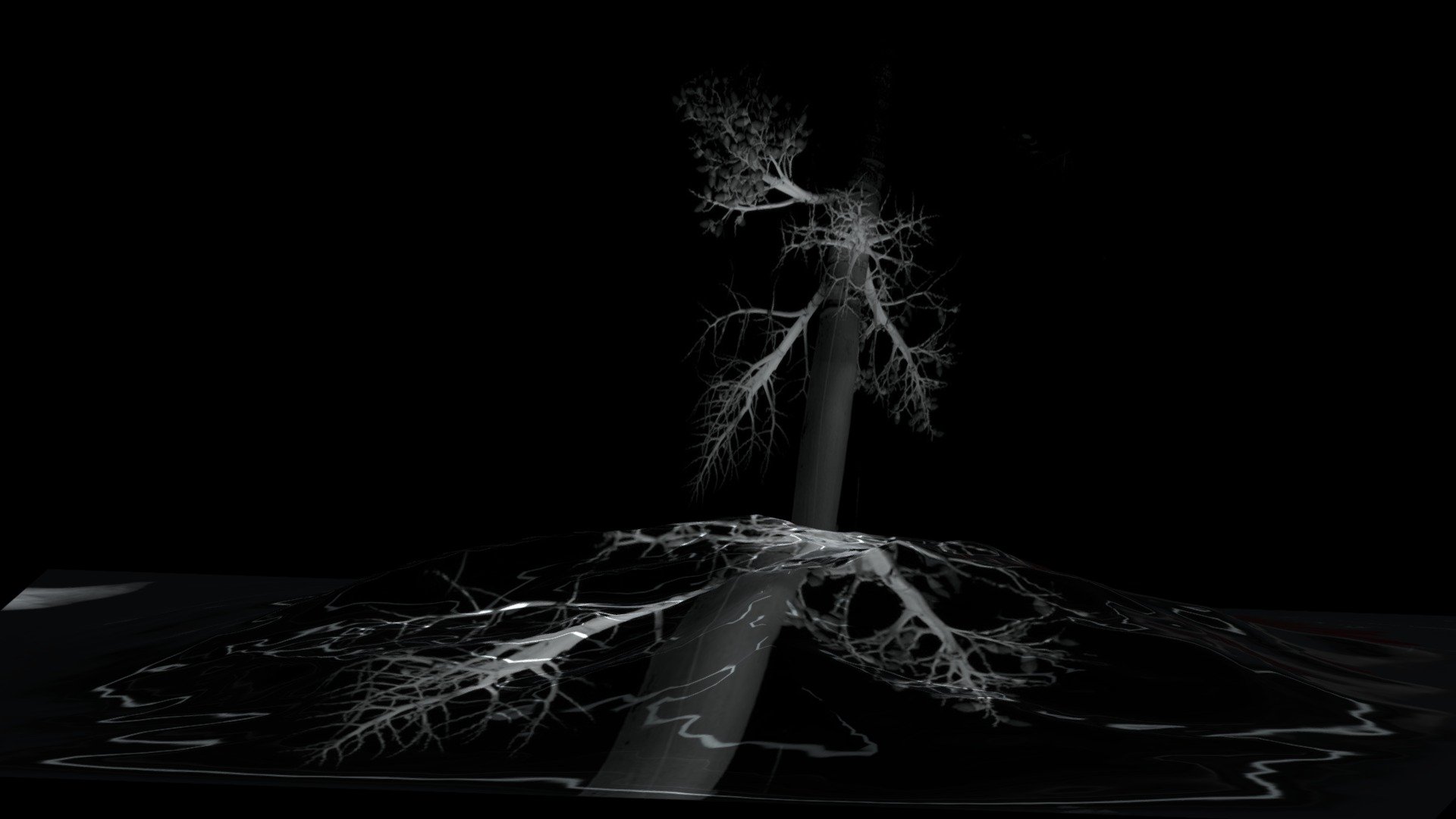 SURORGANIC landscape V