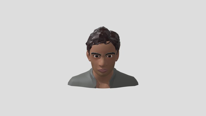 Face 3D Model