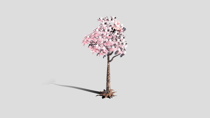 Cherry Blossom Tree 3D Model