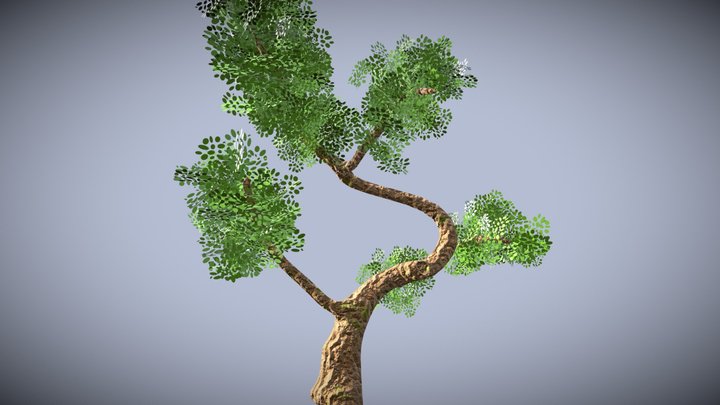 Tree w/Green Leaves 3D Model