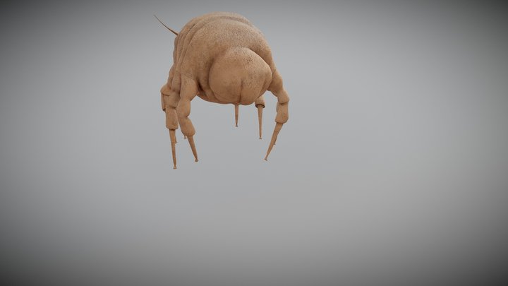 Microbes - Dust Mite 3D Model