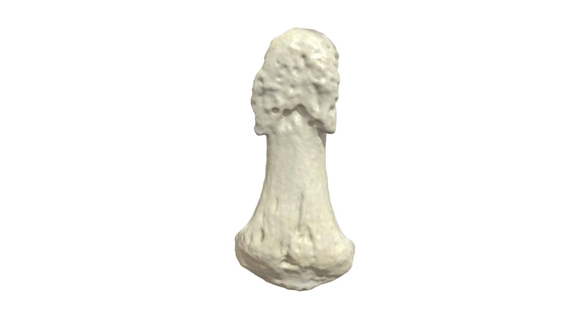 Phalanx Distalis V R - 3D model by Universiteit Antwerpen ...
