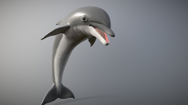 Delfín San Antonio Oeste 3D Model