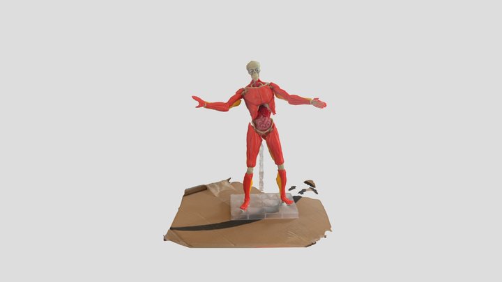 Skully The Skeleton 3D Model