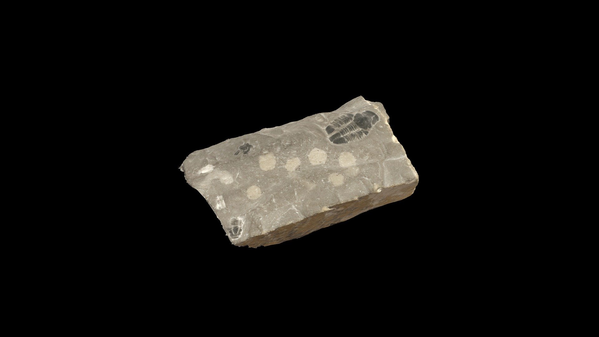 Geol316_1T