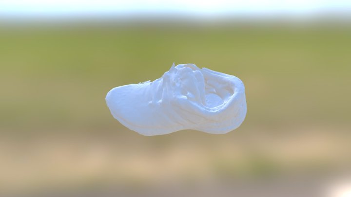 Adidas Shoe (repaired) 3D Model