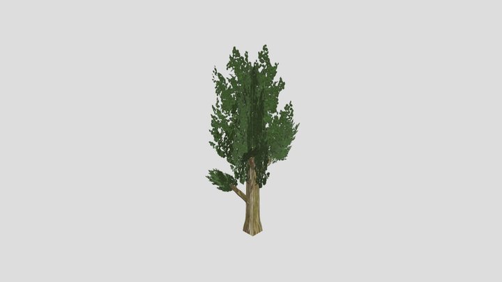low poly big forest tree 3D Model