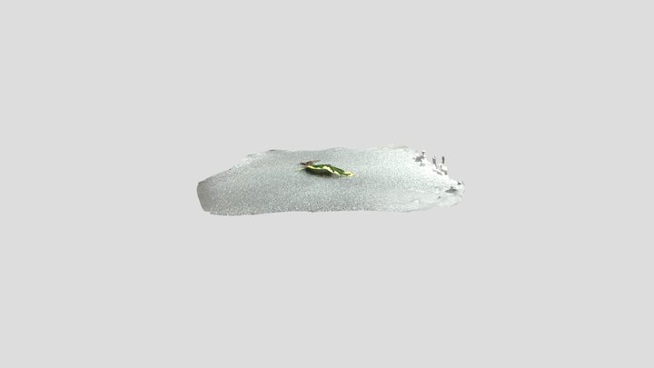 poly 3D Model