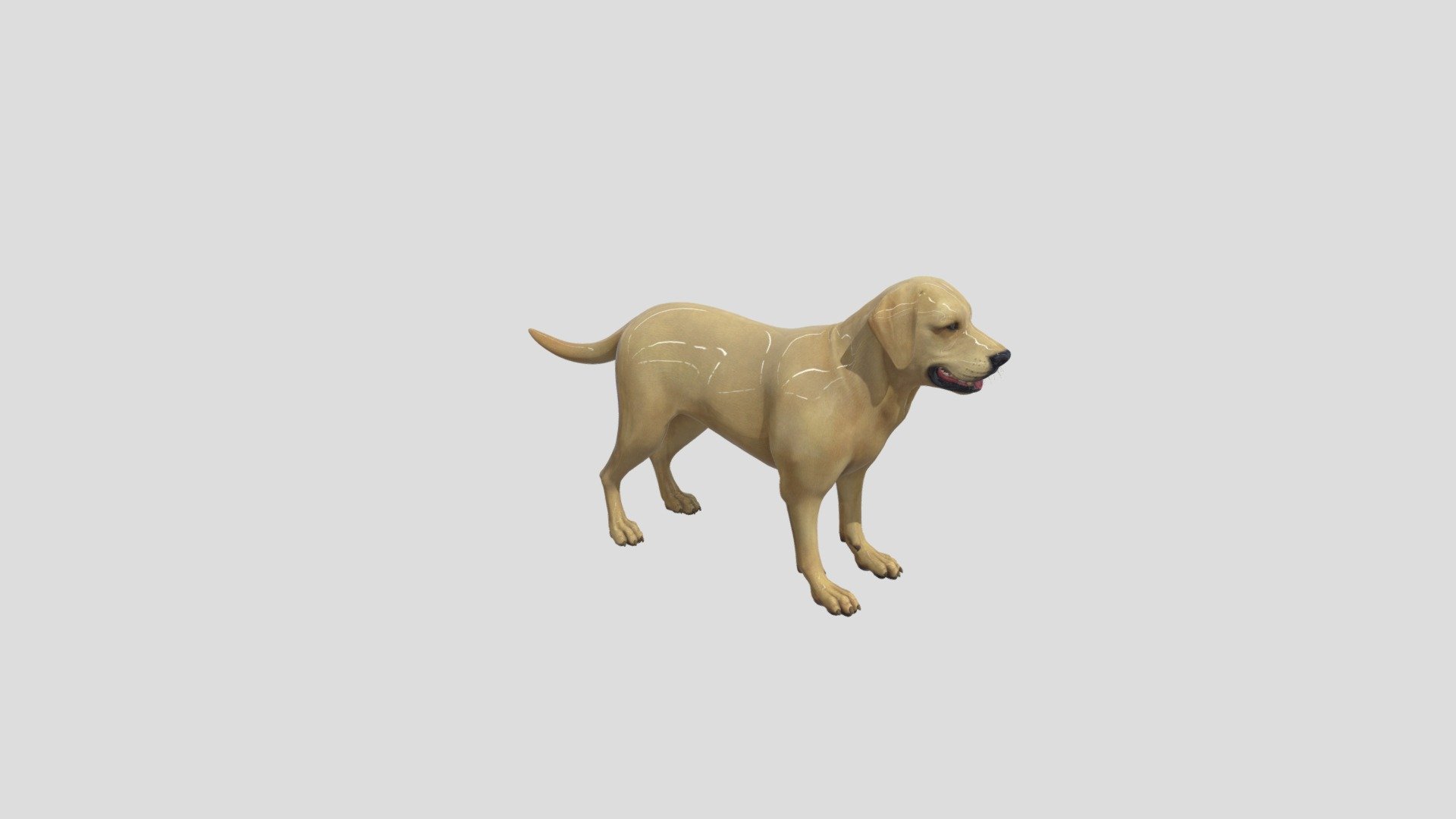 собака - Download Free 3D model by caplazavrmem (@Heronzavr) [52e3f1e ...