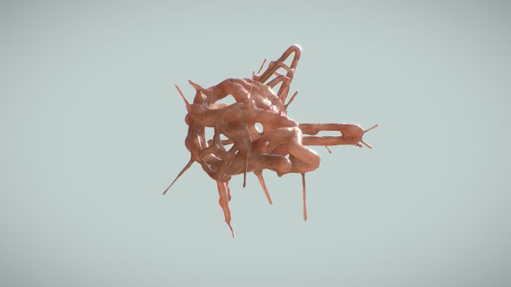 Pre-natal shrink 3D Model