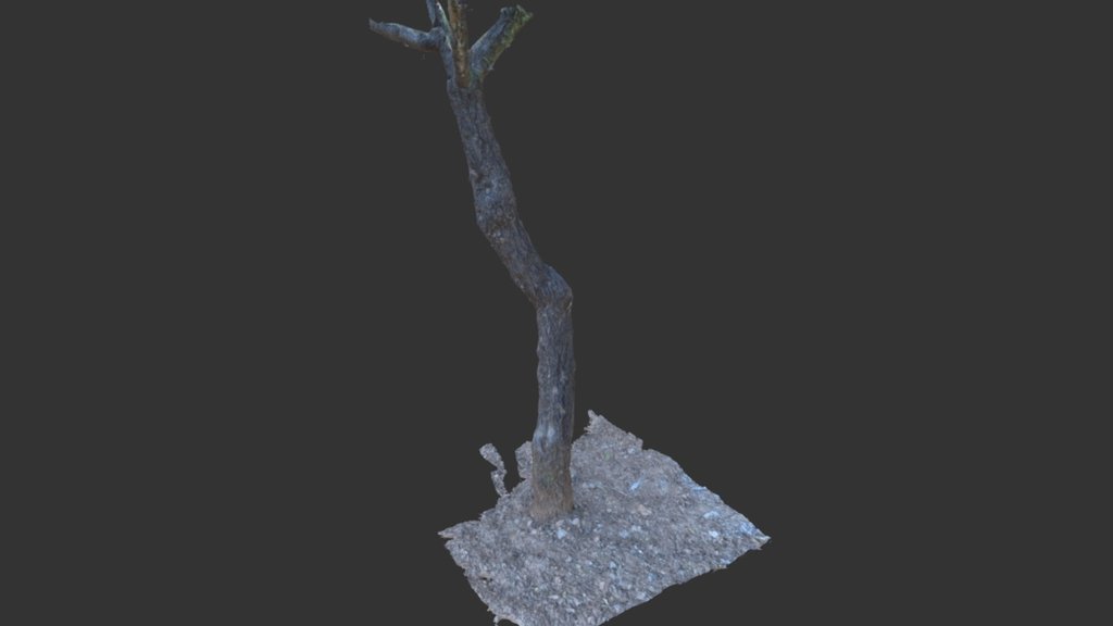 Tronco de arbol (almendro) - CadForCam
