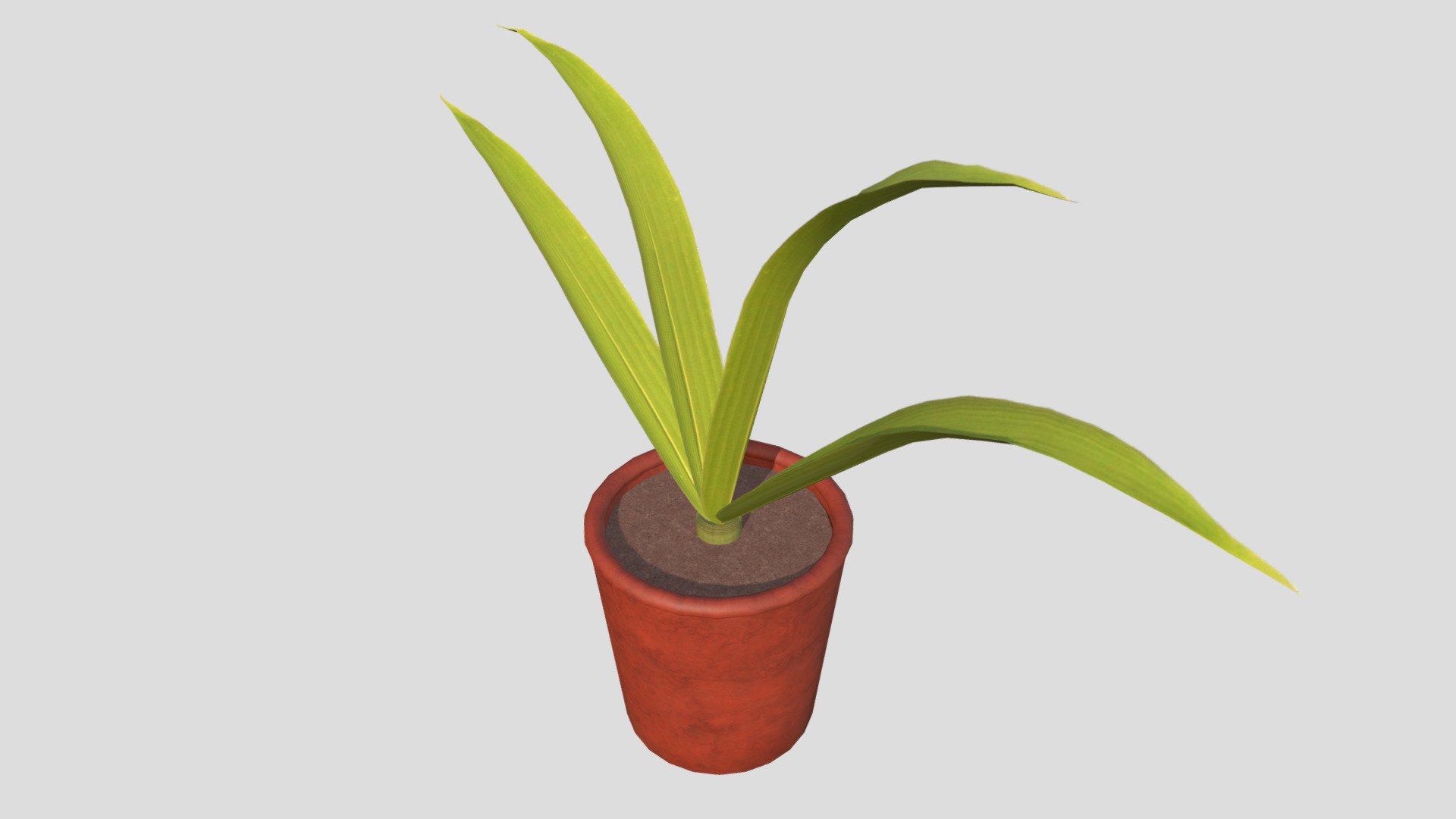 Wk8 Plant