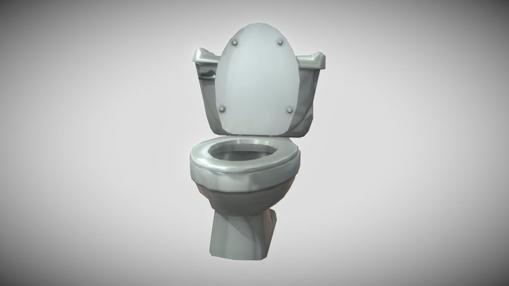 Toilet slight damaged