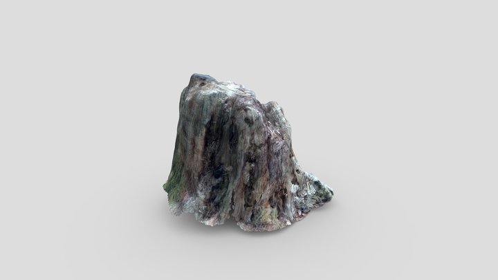 3d live scanner pro test without TOF 3D Model