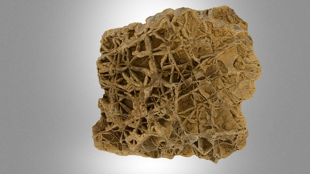 Cellular dolostone