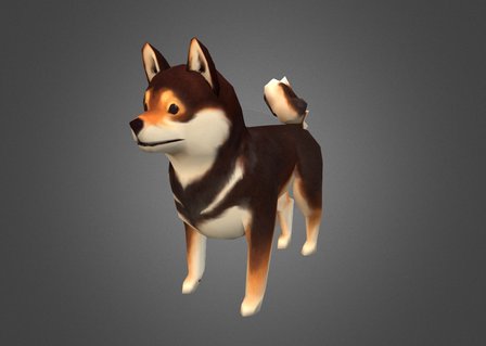 Shiba Inu 3D Model