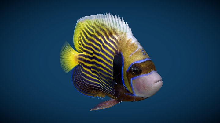 Manila Fish 3D Model