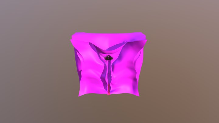 My model 3D Model