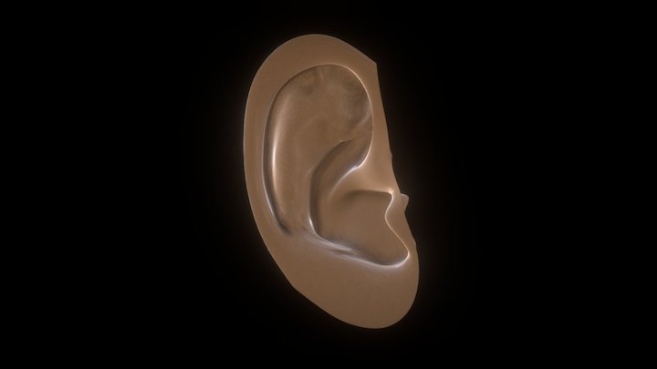 Oreja 3D Model