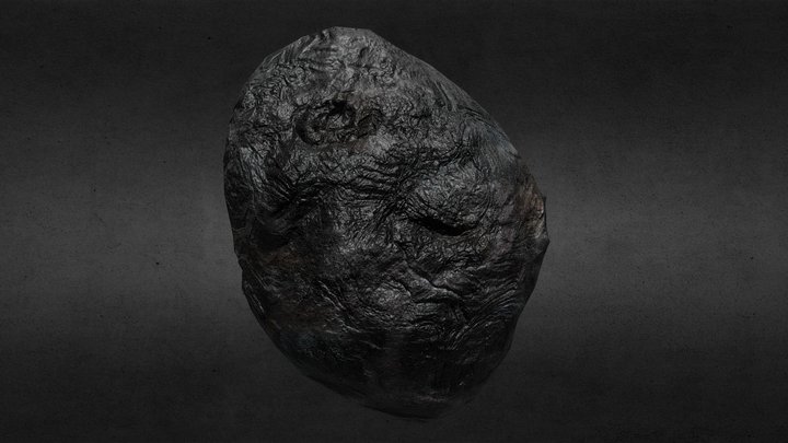 Metal Asteroid 3D Model